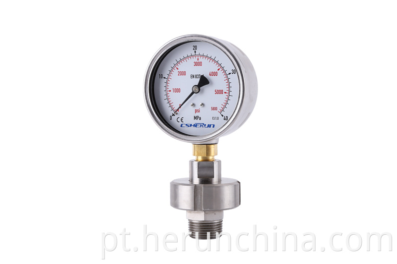 Stainless Steel Pressure Gauge